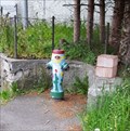 Image for Flower Hydrant - Kienberg, SO, Switzerland