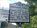 Image for Swannanoa Tunnel P-46