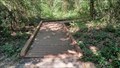 Image for Forest Trail Boardwalk - AGFC Janet Huckabee Arkansas River Valley Nature Center - Fort Smith, AR