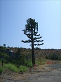 Image for Evergreen Tower in Santiago Canyon, CA