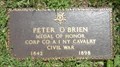 Image for Peter O'Brien - Chicago, IL