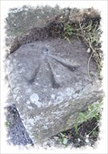 Image for Cut bench Mark and Rivet - Shakespeare Road, Dover, Kent.