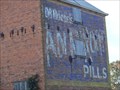 Image for Indian Root Pills Ghost Sign - Bacchus Marsh