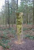 Image for Forest Spirit, Wyre Forest, Worcestershire, England