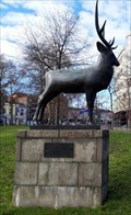 Image for Het hert - Arnhem, NL