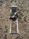 Image for Teddie Clay - I.O.O.F. Cemetery - Prescott, Arizona, USA