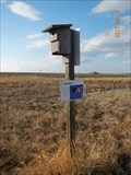 Image for Tree Swallows at C.W. Scott Viewing Site at Slack Slough - Red Deer, Alberta