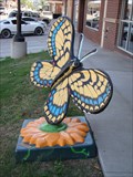 Image for Furniture Showcase Butterfly - Stillwater, OK