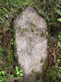 Image for Old Milestone near Tavistock, Devon UK