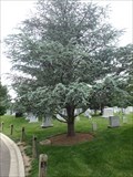 Image for American Gold Star Mothers - Arlington National Cemetery, VA