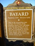 Image for Bayard