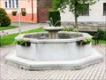 Image for Town Fountain - Vilemov, Czech Republic