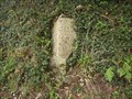 Image for Stone Marker near Lamerton, Devon, UK
