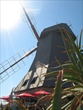 Image for Jasmyn Windmill