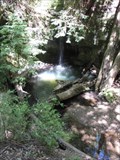 Image for Sempervirens Falls - Big Basin Park - Santa Cruz County, California