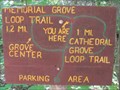 Image for Top of the Trail - You Are Here Map - Copper Harbor, MI