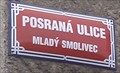 Image for Posrana ulice - Mlady Smolivec, CZ
