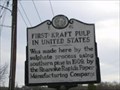 Image for FIRST KRAFT PULP IN UNITED STATES