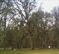 Image for Champoeg State Park Disc Golf - Newberg, OR