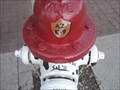 Image for AZ K-9 Fire Hydrant - Glendale AZ