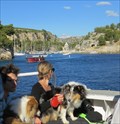 Image for Visit of the Calanques - Cassis, France