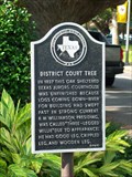 Image for District Court Tree
