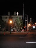 Image for Christmas Tree - Valdosta, GA