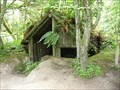 Image for Te Wairoa; a Maori buried village; New Zealand