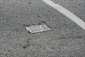 Image for Toynbee Tile; King of Prussia, PA