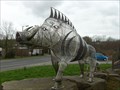 Image for Wild Boar - Ammanford, Carmarthenshire, Wales.