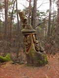 Image for Two Wood Faces with cap in the Palatinate Forest - RLP / Germany