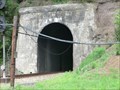 Image for Big Bend Tunnel - Talcott W V