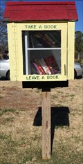 Image for Literacy House Little Free Library - Arlington, TX
