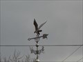 Image for Eagle with talons down - Altoona, Pennsylvania