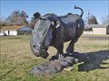 Image for Rhino - Jewett, TX