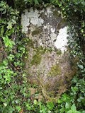 Image for Parish Boundary Stone, West Devon UK