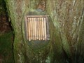 Image for Bamboo Fairy Door - Portpatrick, Scotland, UK