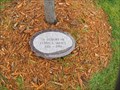 Image for Eldon E. Skeate Tree - Minnesota State Veterans Cemetery - Little Falls, Minnesota