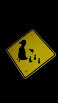 Image for Duck Crossing Sign - Delaware Ohio