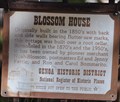 Image for Blossom House
