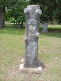 Image for Sarah E. Owens - Lorena Cemetery - Lorena, TX