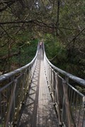 Image for Canyon Walk west bridge - Bright, Vic, Australia