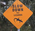 Image for Slow Down for Lizards, Cranbourne Sth, Vic, Australia