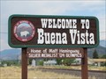 Image for Buena Vista, Colorado, USA