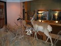 Image for Wyoming Game & Fish Visitors Center - Sheridan, Wyoming