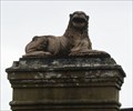 Image for Two Lions at Castle of Good Hope, Cape Town, South Africa