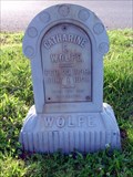 Image for Galloway Cemetery, Catharine E. Wolfe