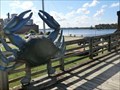 Image for Giant Blue Crab - Washington NC