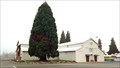 Image for Giant Sequoia - Josephine County Fairgrounds - Grants Pass, OR