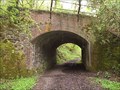 Image for Arched Railway Bridge, Bere Alston, West Devon, UK